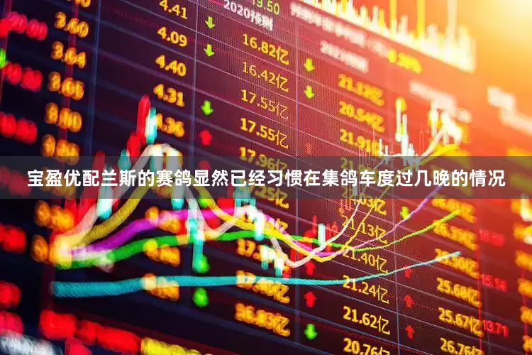 宝盈优配兰斯的赛鸽显然已经习惯在集鸽车度过几晚的情况