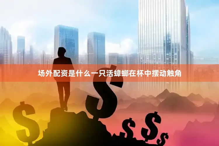 场外配资是什么一只活蟑螂在杯中摆动触角