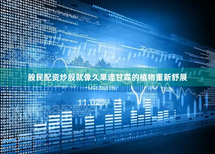股民配资炒股就像久旱逢甘霖的植物重新舒展