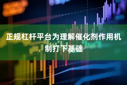 正规杠杆平台为理解催化剂作用机制打下基础